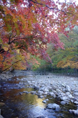 DSCF6595