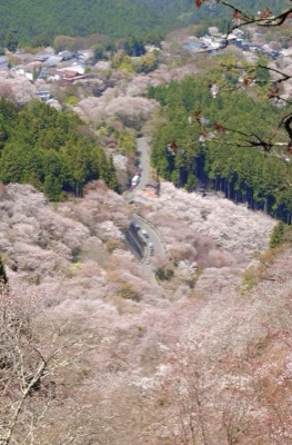 DSCF8994